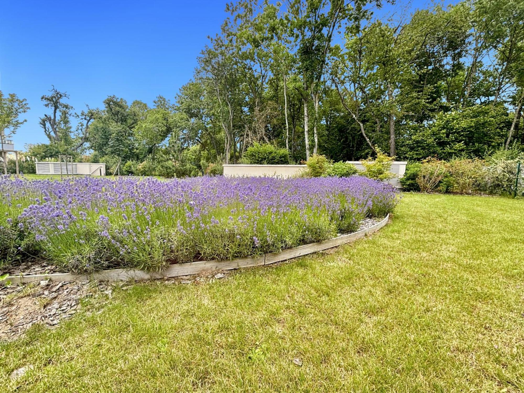 Sunny Suite Disneyland Paris - Rentaway Bnb Montévrain Zewnętrze zdjęcie